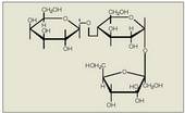 11. Irudia: Errafinosa trisakaridoaren molekula.<br>